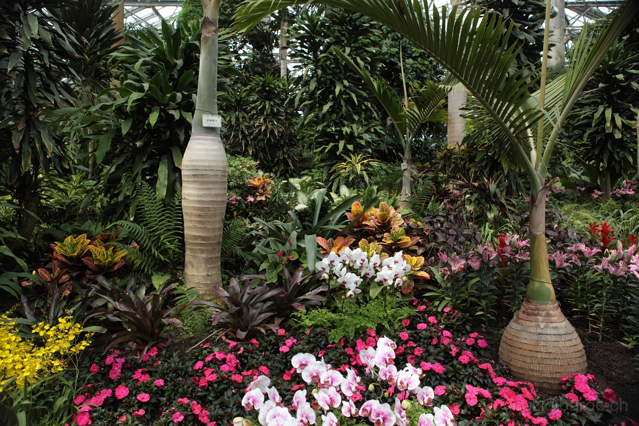 EOS 5D Mark II16_04_20135006.JPG